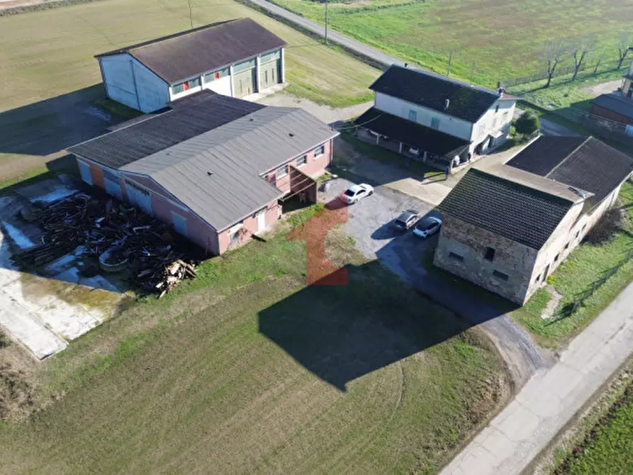 Immagine 2 di Casa indipendente in vendita  in Via Crocetta 3 a Polesine Zibello