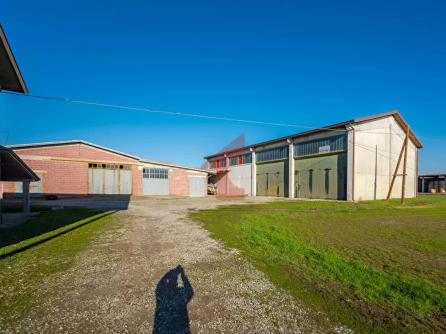 Immagine 7 di Casa indipendente in vendita  in Via Crocetta 3 a Polesine Zibello