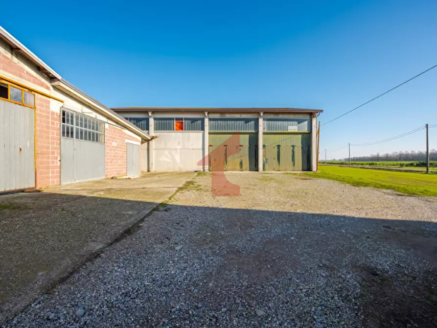 Immagine 8 di Casa indipendente in vendita  in Via Crocetta 3 a Polesine Zibello