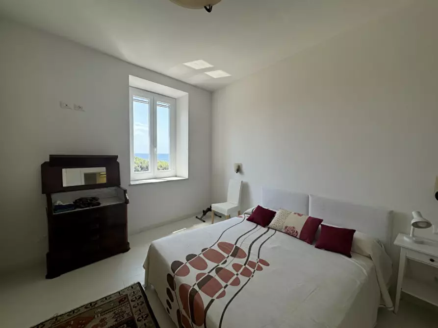 Immagine 17 di Appartamento in affitto  in viale di Antignano a Livorno