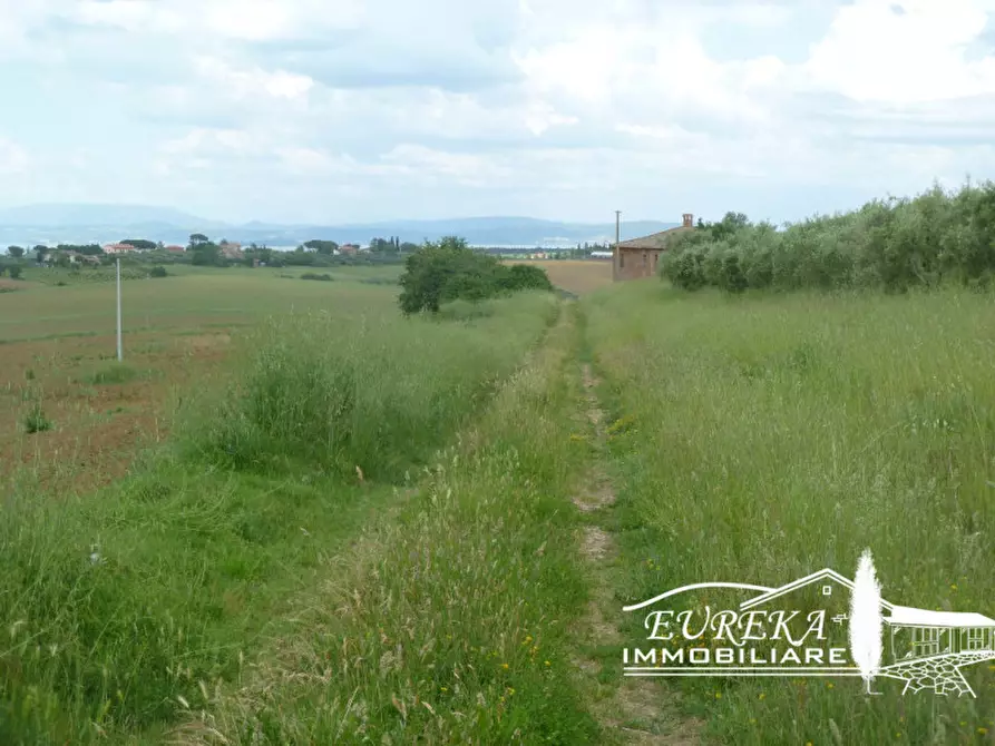 Immagine 6 di Rustico / casale in vendita  in gioiella a Castiglione Del Lago