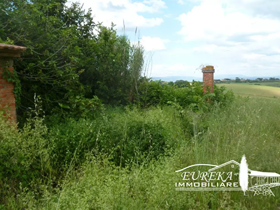Immagine 11 di Rustico / casale in vendita  in gioiella a Castiglione Del Lago