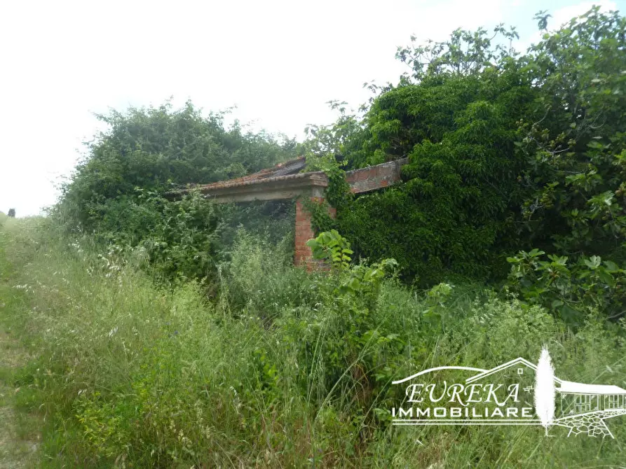 Immagine 12 di Rustico / casale in vendita  in gioiella a Castiglione Del Lago