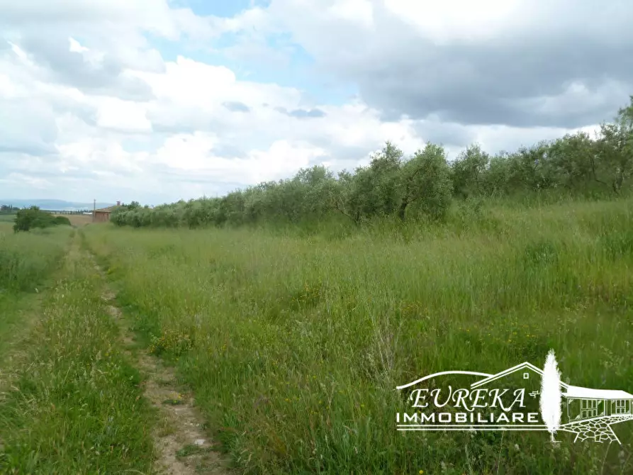 Immagine 13 di Rustico / casale in vendita  in gioiella a Castiglione Del Lago