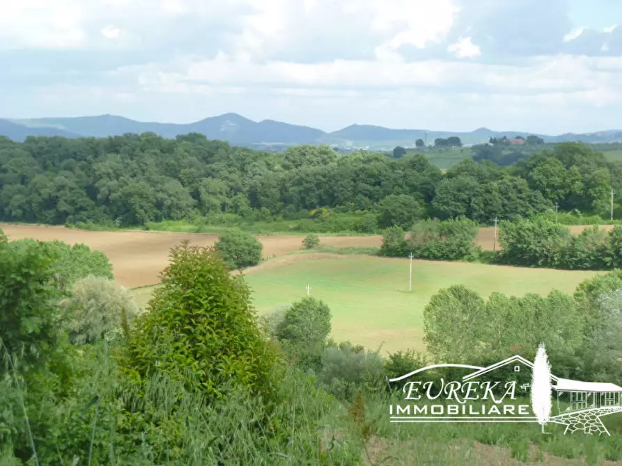 Immagine 14 di Rustico / casale in vendita  in gioiella a Castiglione Del Lago