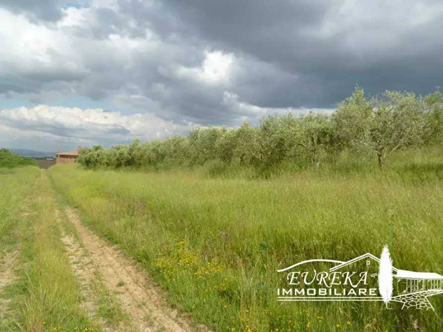 Immagine 18 di Rustico / casale in vendita  in gioiella a Castiglione Del Lago