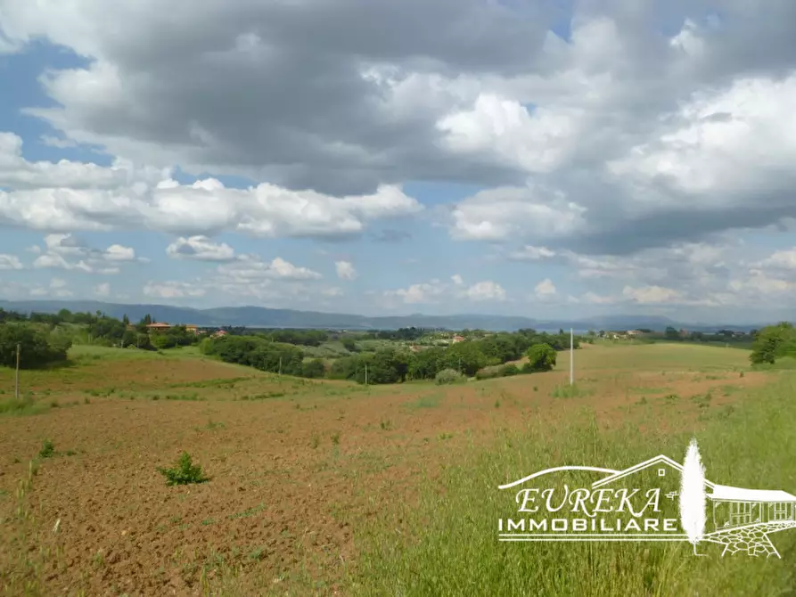 Immagine 19 di Rustico / casale in vendita  in gioiella a Castiglione Del Lago