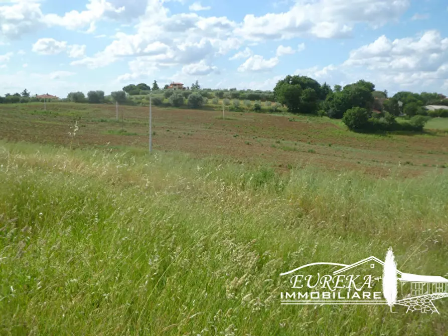 Immagine 20 di Rustico / casale in vendita  in gioiella a Castiglione Del Lago