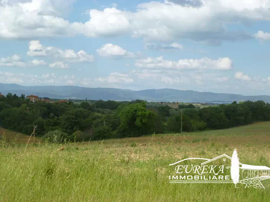 Immagine 21 di Rustico / casale in vendita  in gioiella a Castiglione Del Lago