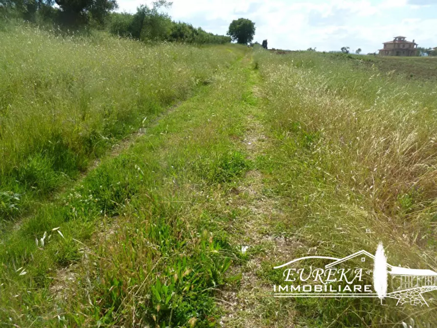 Immagine 22 di Rustico / casale in vendita  in gioiella a Castiglione Del Lago