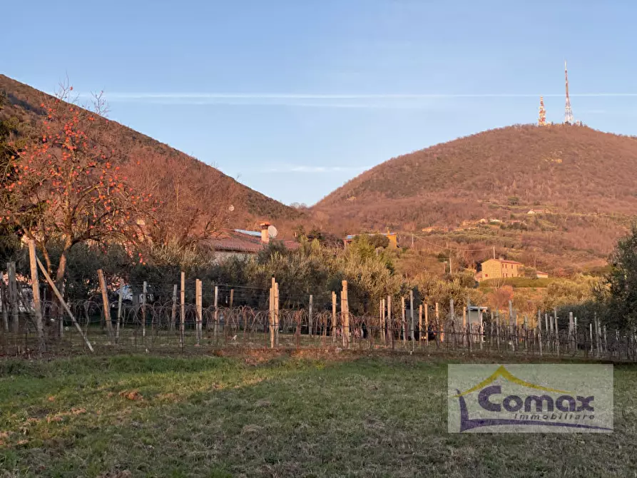 Immagine 3 di Rustico / casale in vendita  in Via del Molino a Cinto Euganeo