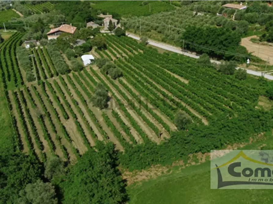 Immagine 5 di Rustico / casale in vendita  in Via del Molino a Cinto Euganeo