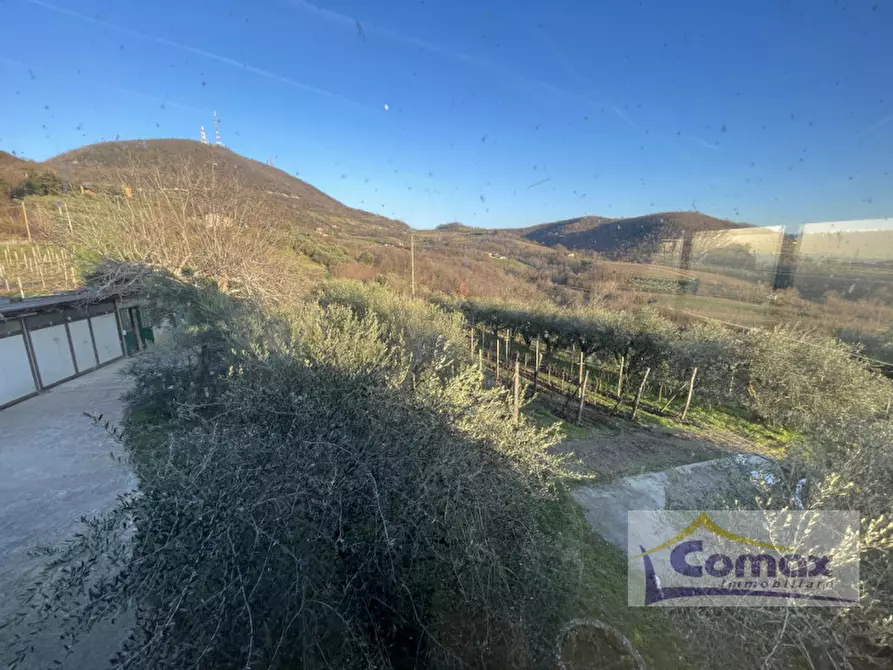 Immagine 6 di Rustico / casale in vendita  in Via del Molino a Cinto Euganeo