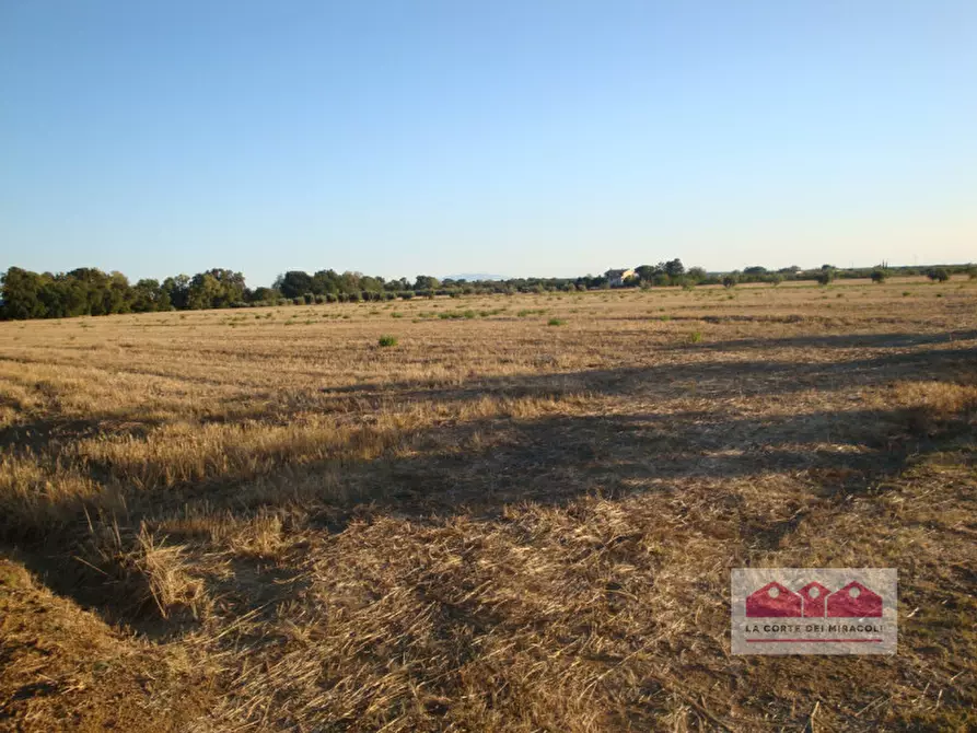 Immagine 9 di Terreno in vendita  in Strada Postumia a Vicenza
