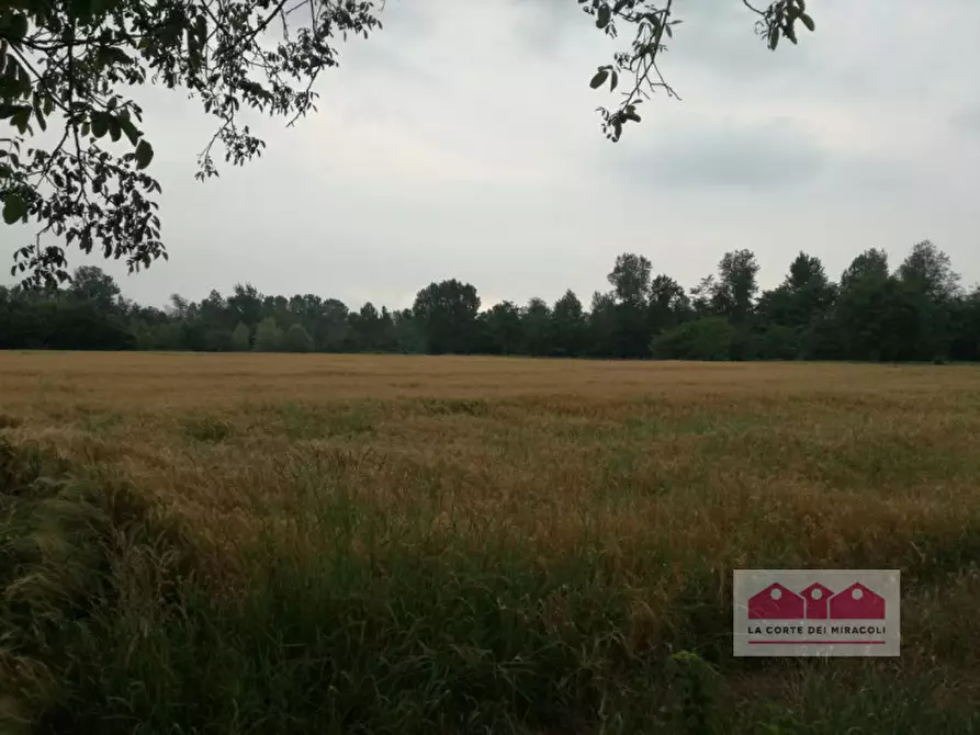 Immagine 10 di Terreno in vendita  in Strada Postumia a Vicenza