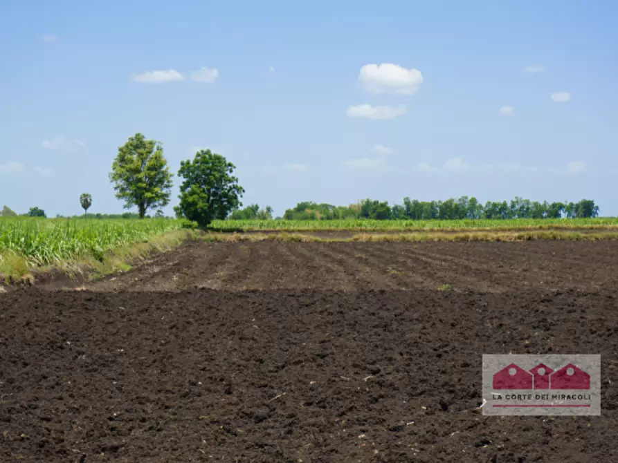 Immagine 11 di Terreno in vendita  in Strada Postumia a Vicenza