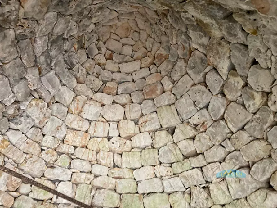 Immagine 3 di Rustico / casale in vendita  in Contrada San Pietro a Ceglie Messapico