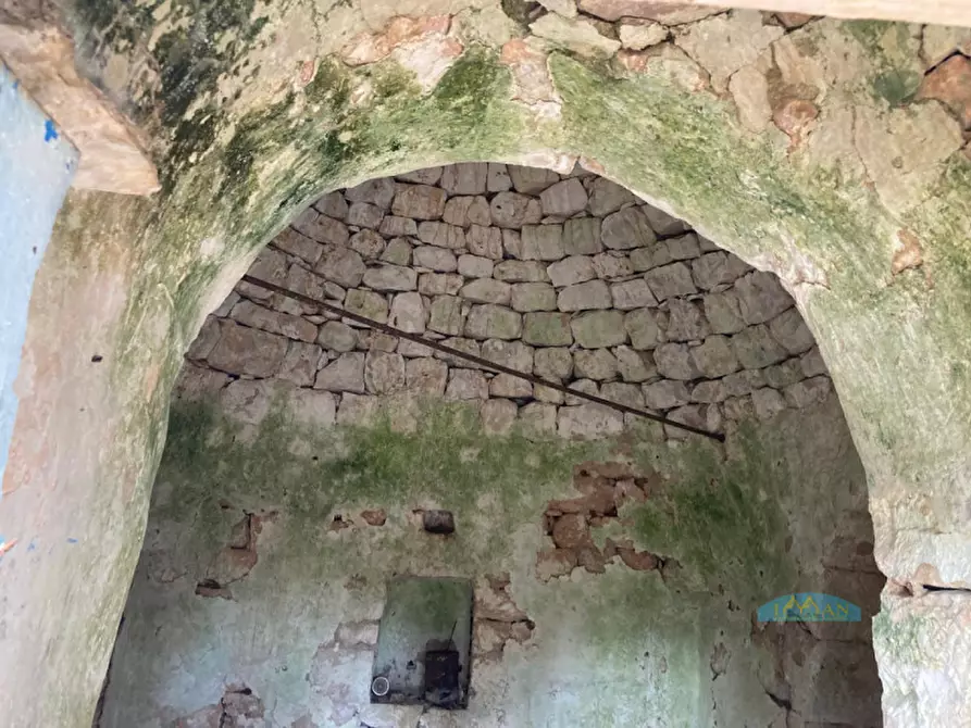 Immagine 5 di Rustico / casale in vendita  in Contrada San Pietro a Ceglie Messapico