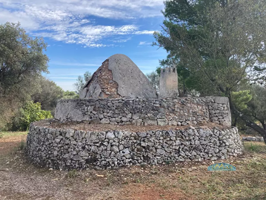 Immagine 6 di Rustico / casale in vendita  in Contrada San Pietro a Ceglie Messapico