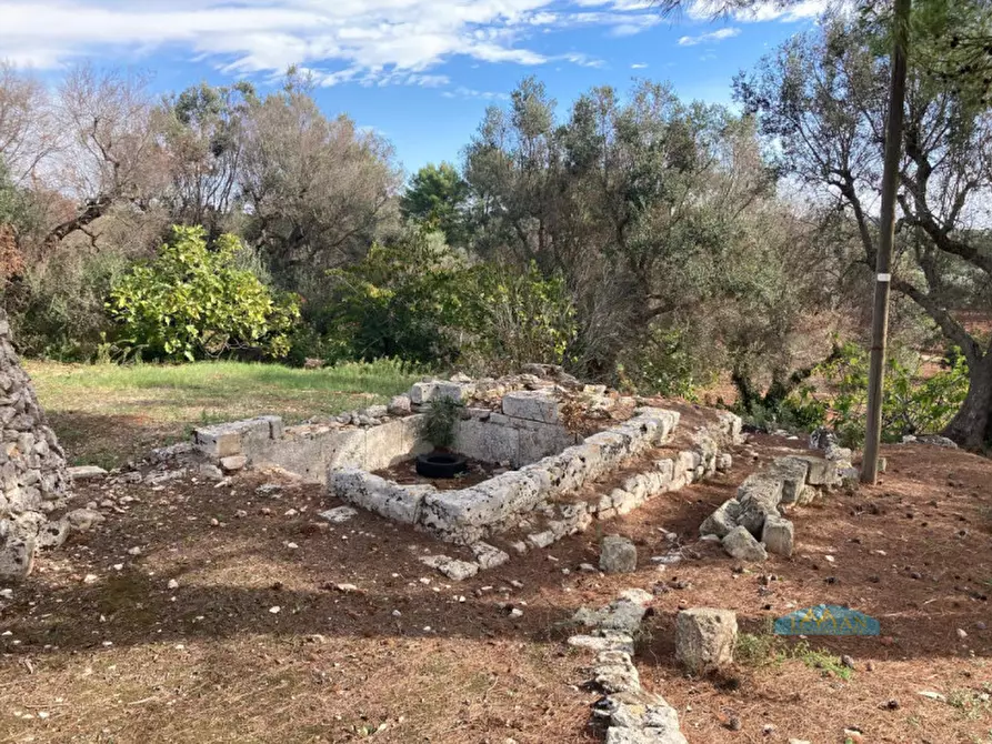 Immagine 9 di Rustico / casale in vendita  in Contrada San Pietro a Ceglie Messapico