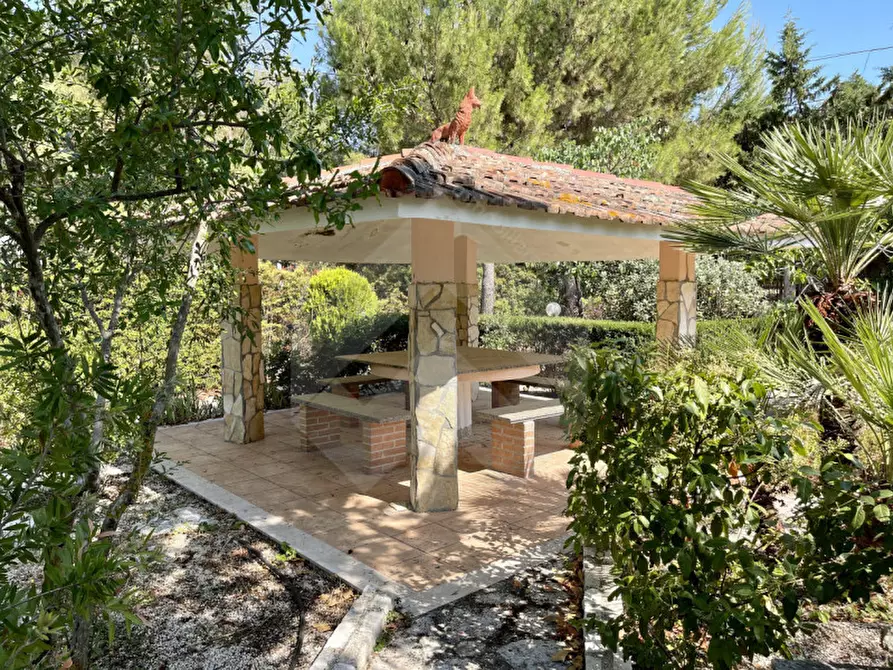 Immagine 5 di Appartamento in vendita  in Viale Federico || Di Svevia a Andria