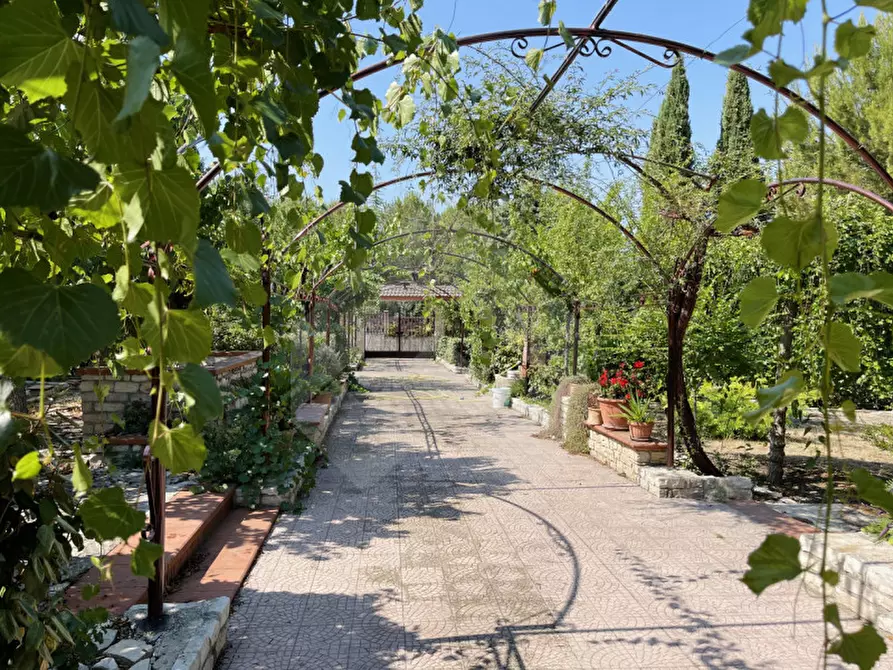 Immagine 8 di Appartamento in vendita  in Viale Federico || Di Svevia a Andria