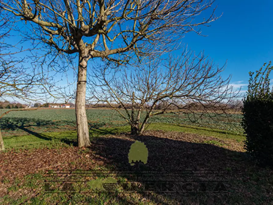 Immagine 15 di Casa indipendente in vendita  in Via Bussoli a Tribano