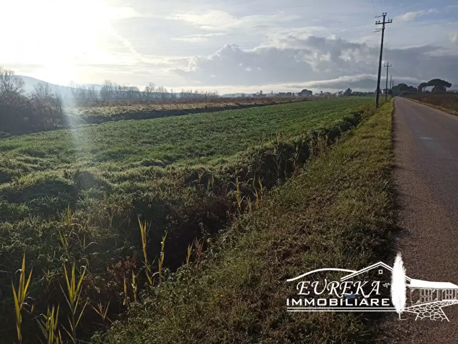 Immagine 2 di Terreno in vendita  in Strada provinciale di Romea carraia a Panicale