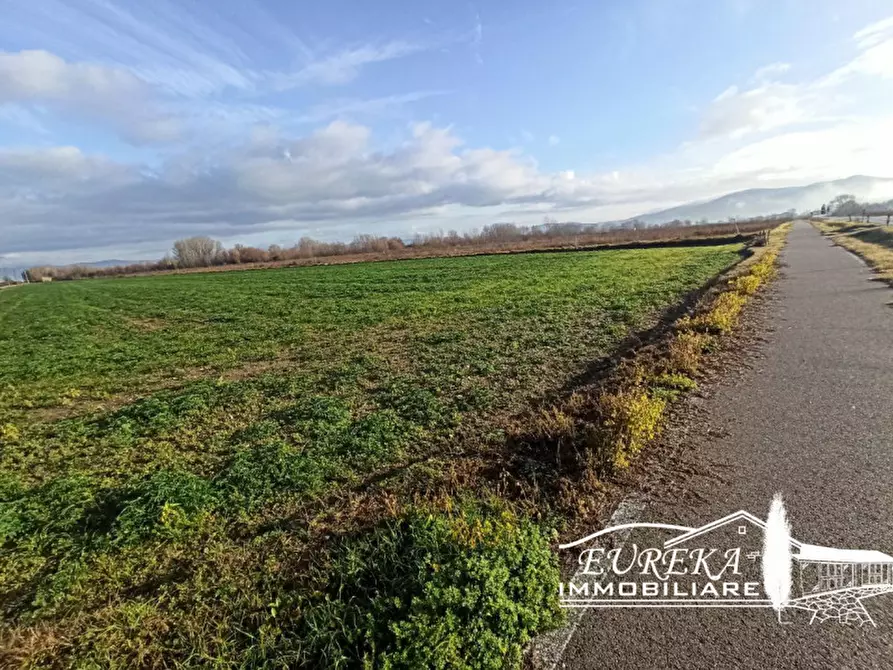 Immagine 3 di Terreno in vendita  in Strada provinciale di Romea carraia a Panicale