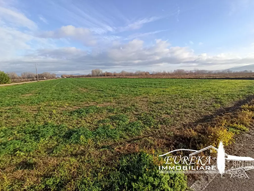 Immagine 4 di Terreno in vendita  in Strada provinciale di Romea carraia a Panicale