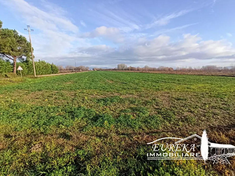 Immagine 5 di Terreno in vendita  in Strada provinciale di Romea carraia a Panicale