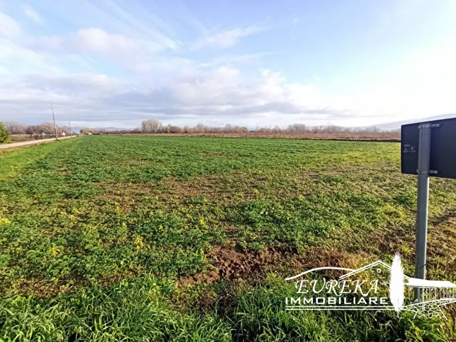 Immagine 6 di Terreno in vendita  in Strada provinciale di Romea carraia a Panicale