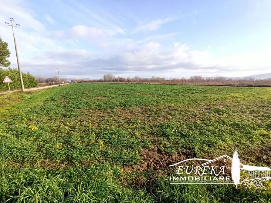 Immagine 7 di Terreno in vendita  in Strada provinciale di Romea carraia a Panicale