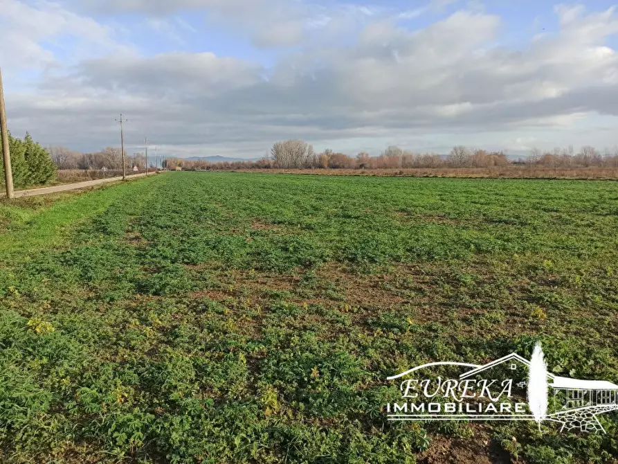 Immagine 8 di Terreno in vendita  in Strada provinciale di Romea carraia a Panicale