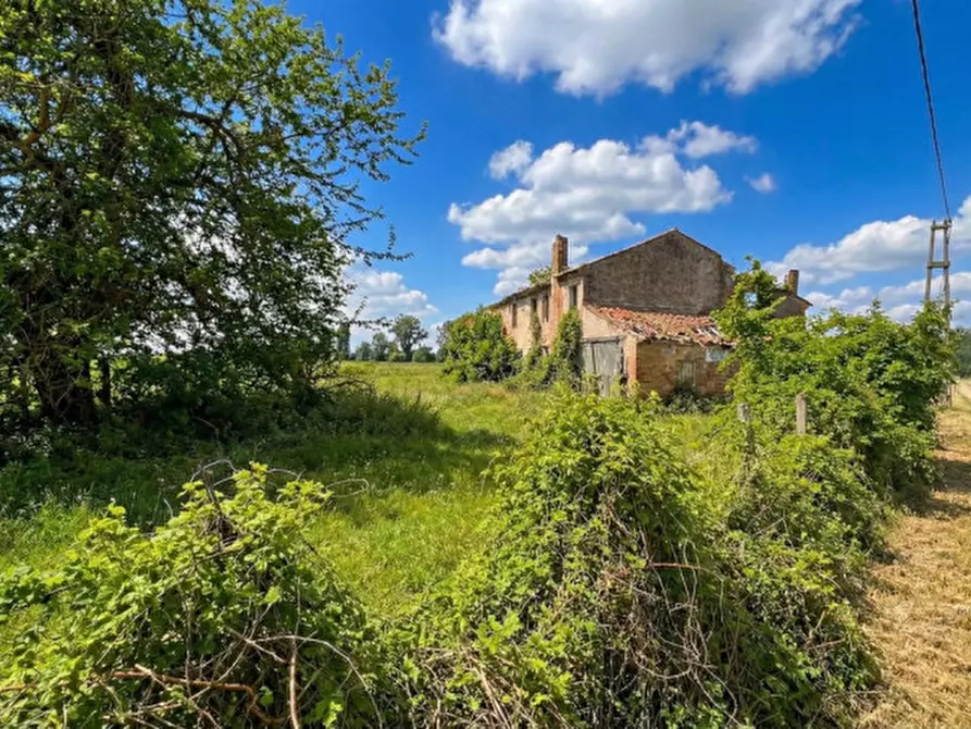Immagine 2 di Rustico / casale in vendita  in Via Sant'Alberto 19 a Badia Polesine