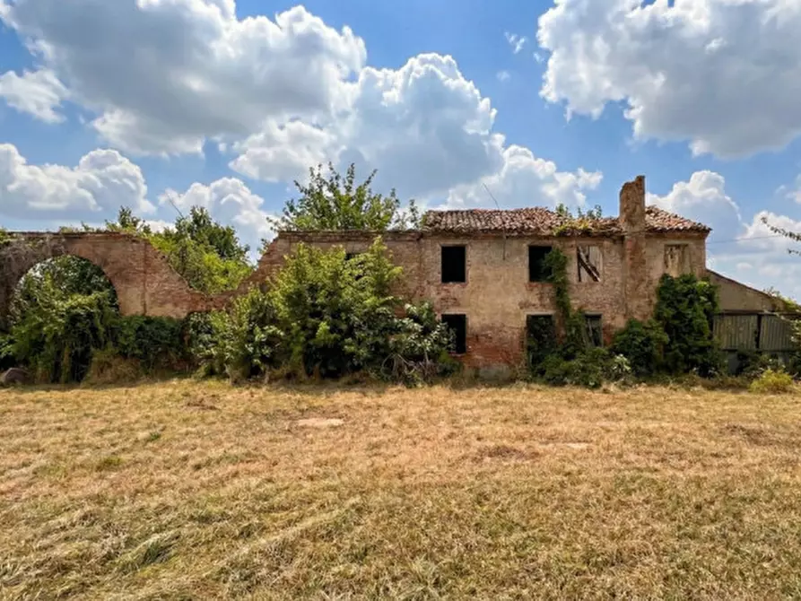 Immagine 3 di Rustico / casale in vendita  in Via Sant'Alberto 19 a Badia Polesine
