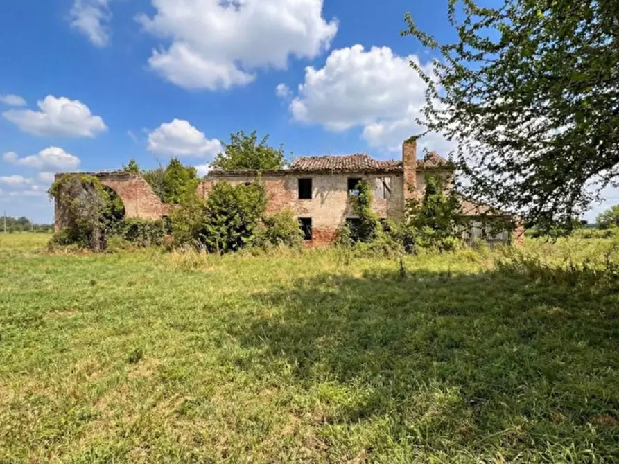 Immagine 4 di Rustico / casale in vendita  in Via Sant'Alberto 19 a Badia Polesine