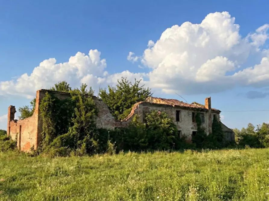 Immagine 5 di Rustico / casale in vendita  in Via Sant'Alberto 19 a Badia Polesine