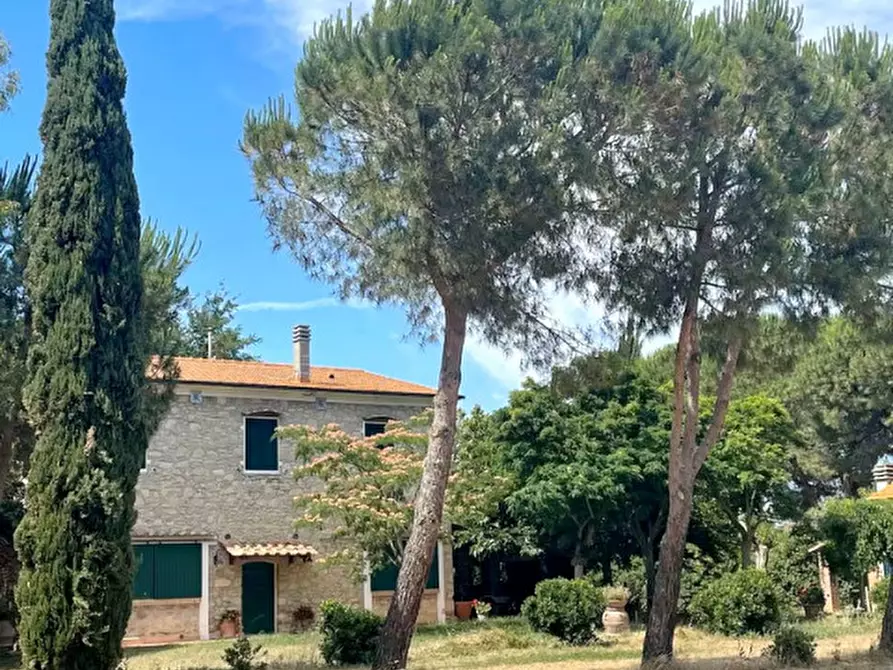 Immagine 21 di Villa in vendita  in Stradone dei Fichi, 3 a Livorno