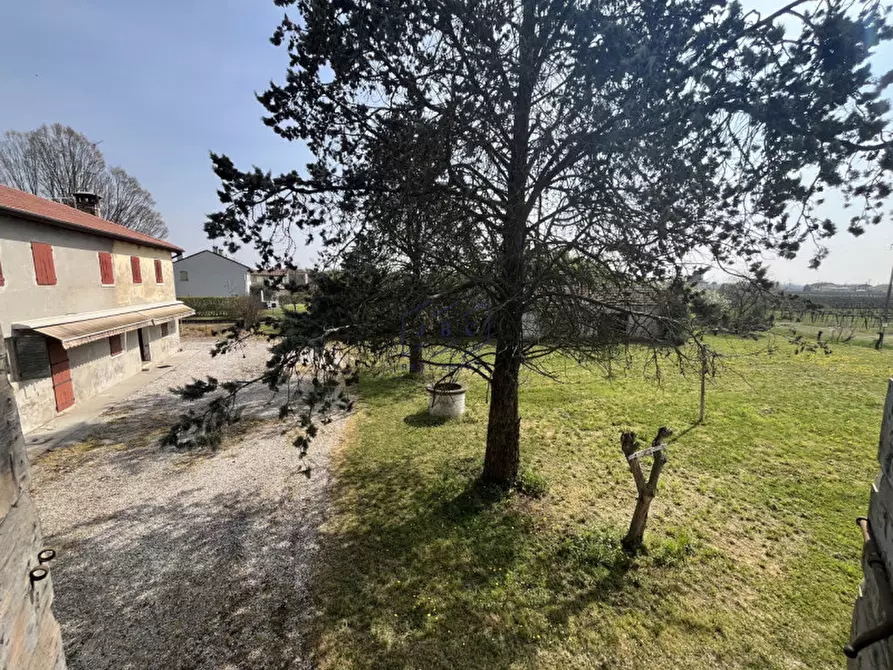 Immagine 13 di Rustico / casale in vendita  in via rosa a Gorgo Al Monticano