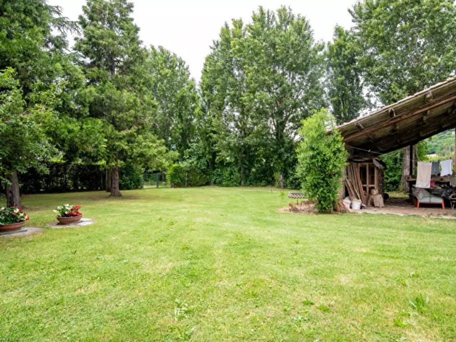 Immagine 4 di Rustico / casale in vendita  in Via Vallesana a Baone