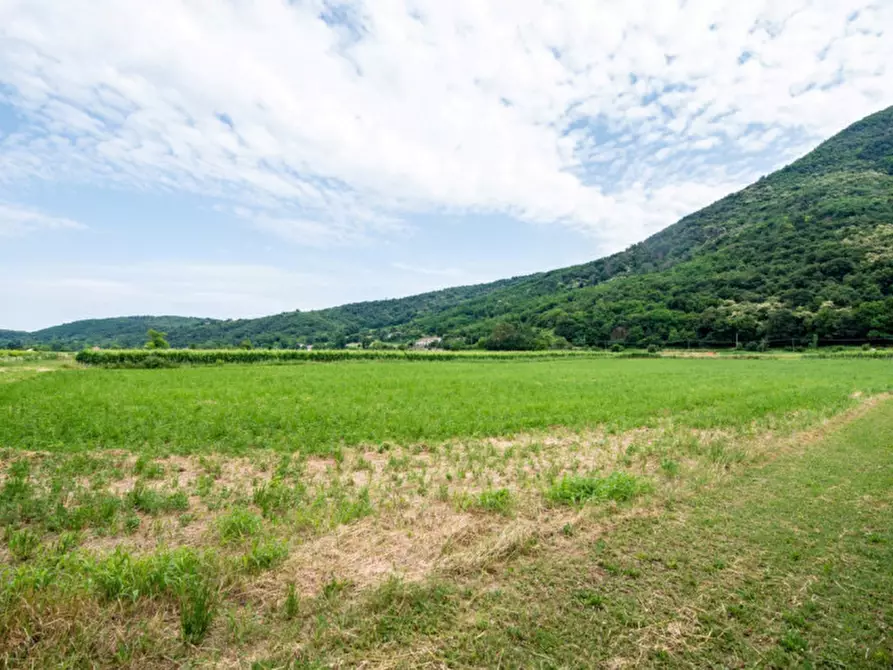 Immagine 10 di Rustico / casale in vendita  in Via Vallesana a Baone