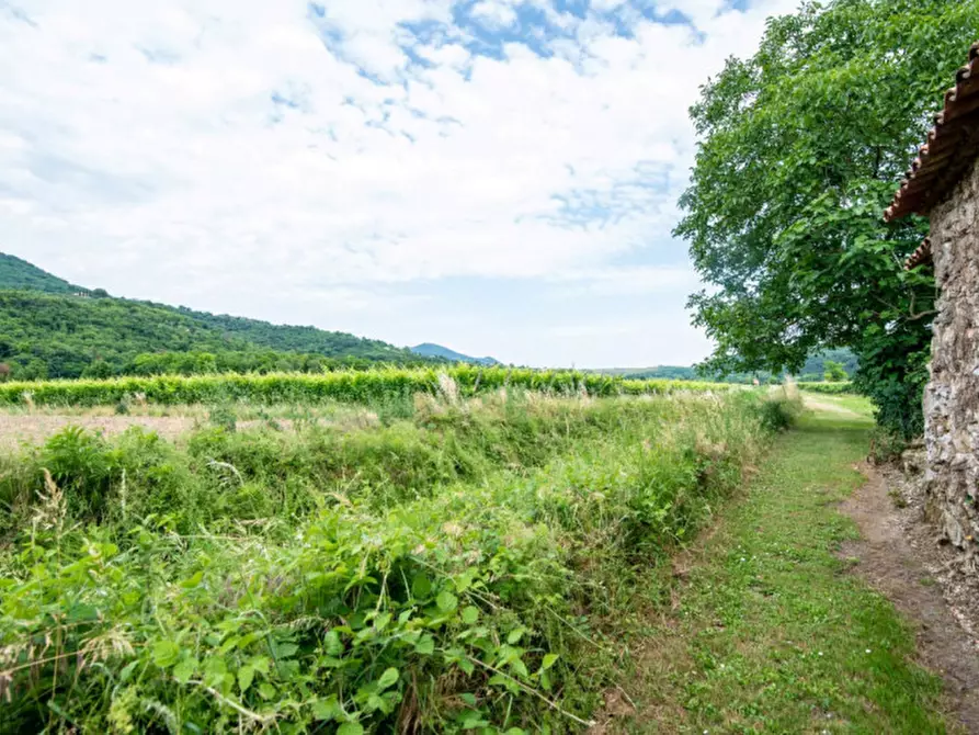 Immagine 12 di Rustico / casale in vendita  in Via Vallesana a Baone