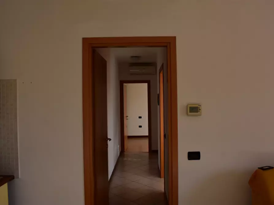 Immagine 17 di Appartamento in vendita  a Casalserugo