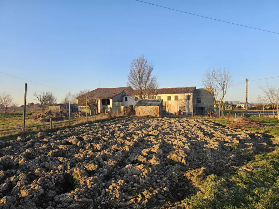 Immagine 3 di Rustico / casale in vendita  in VIA ARGINE DEL TRIDELLO a Villa Estense