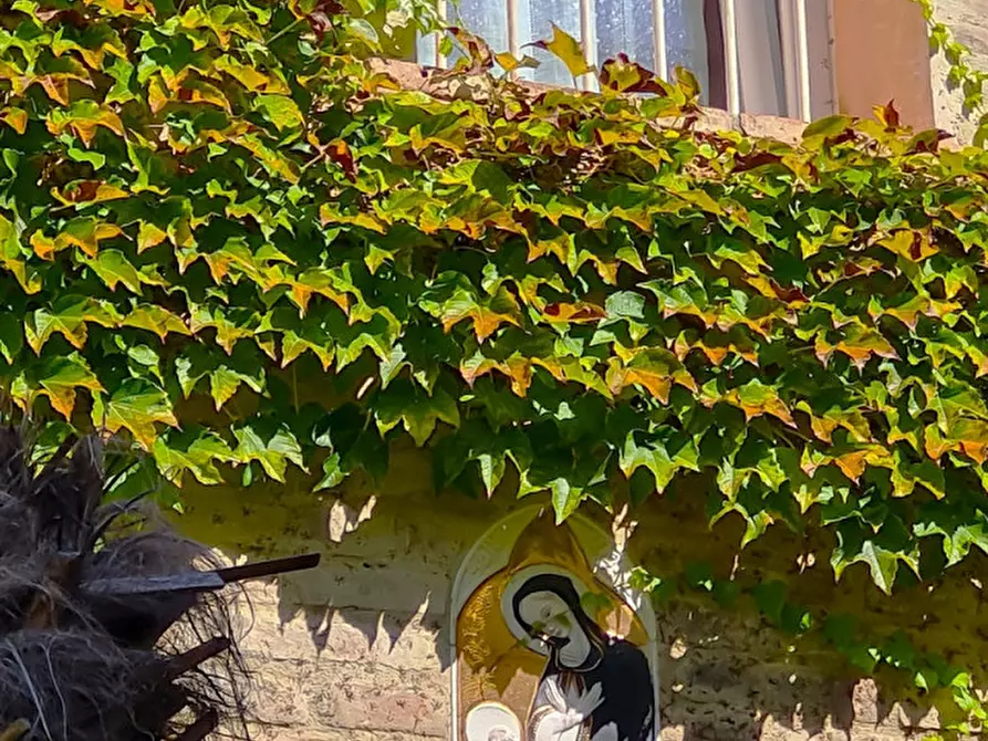 Immagine 36 di Villetta a schiera in vendita  in Via Scacciano a Misano Adriatico