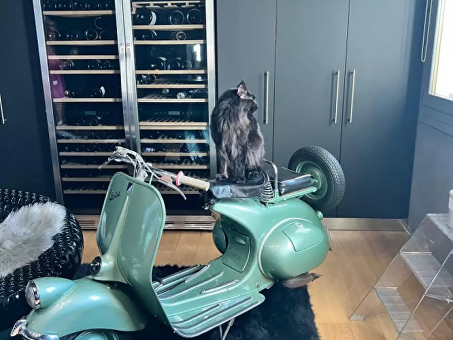 Immagine 7 di Casa indipendente in vendita  in Via Pelosa a Selvazzano Dentro