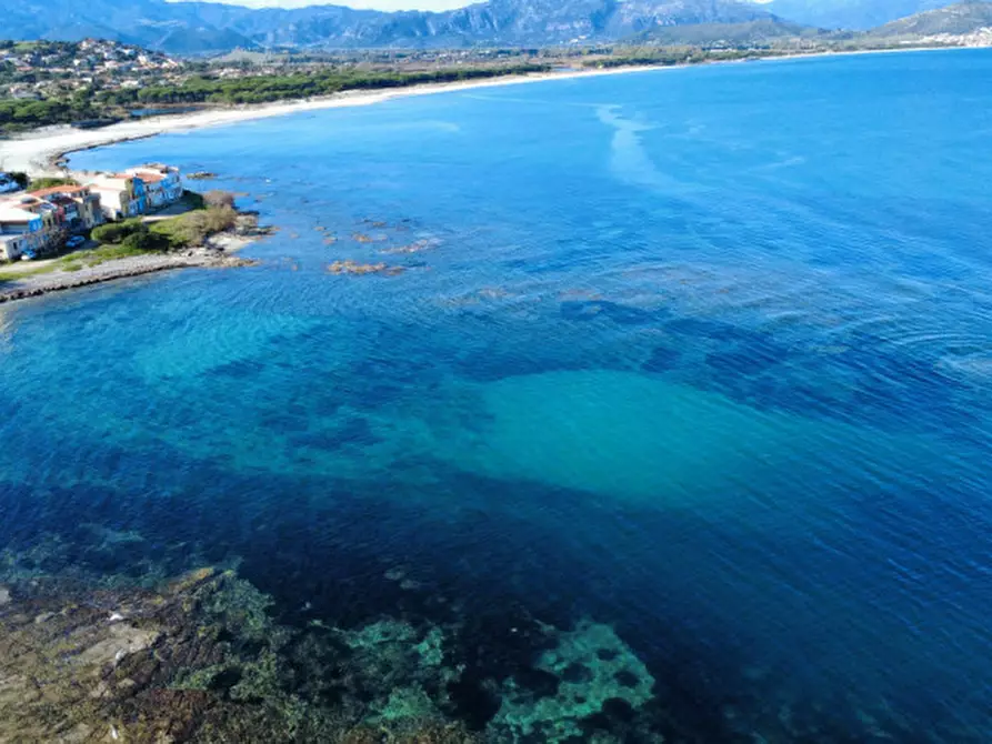 Immagine 27 di Appartamento in vendita  in Via Alvise Cadamosto a Siniscola
