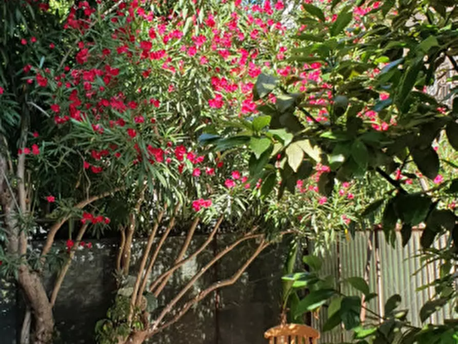 Immagine 10 di Appartamento in vendita  in via giovanni prati a Roma