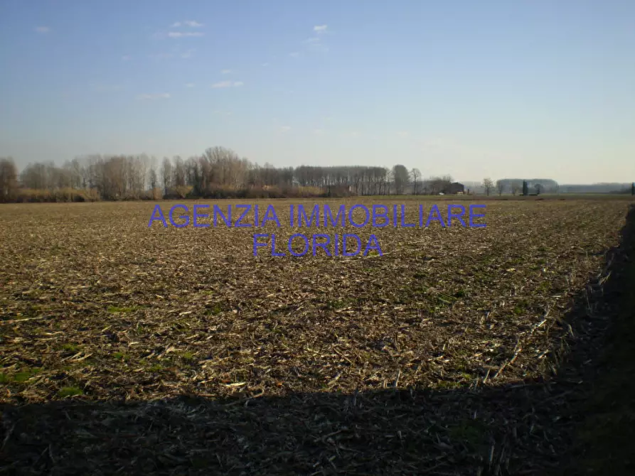 Immagine 1 di Terreno in vendita  in Via Pila a Loreggia